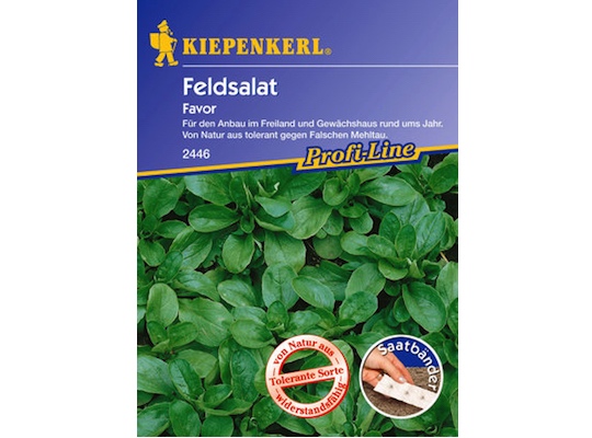 Kiepenkerl Lamb's Lettuce - Seed Tape - lamb's lettuce seeds for 5 meters - Natural German