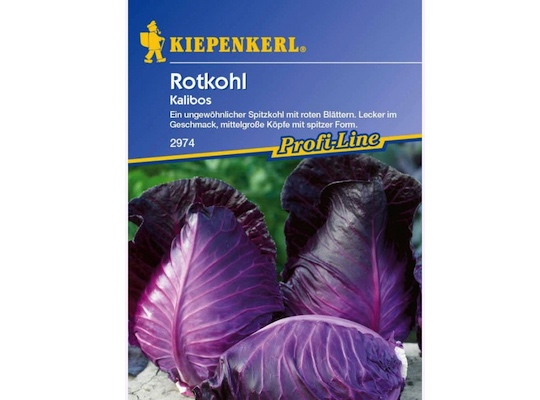 Kiepenkerl Red Cabbage Kalibos - red cabbage seeds for 70 plants - Natural German
