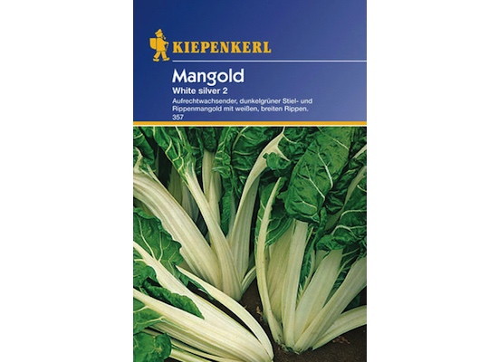 Kiepenkerl Swiss chard White-Silver2 - Swiss chard seeds for about 20 plants - Natural German