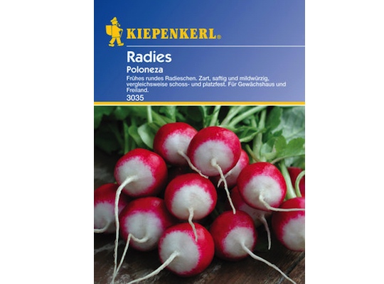 Kiepenkerl Radish Poloenza - radish seeds for 10 meters - Natural German